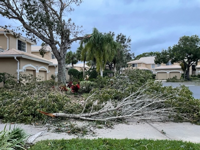 Tradesforbeer's tweet photo. #PelicanLanding Lakemont Cove some pictures that were sent to me.  Lots of debris, minor damage. https://t.co/XBgCR1MDeo