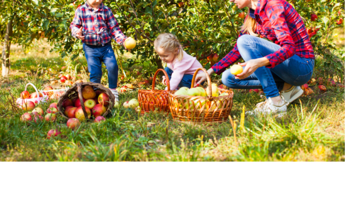 koetjong's tweet image. In West Betuwe helpt Welzijn West Betuwe gezinnen met Steunouder. Steunouders zijn volwassenen vrijwilligers die één of twee dagdelen per week optrekken met een kind. Lees meer: koetjong.nl/laagdrempelige… #koetjong #westbetuwe #steunouder @WelzijnWB