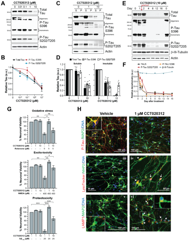 ScienceofPD's tweet photo. New @biorxivpreprint manuscript presents a high content imaging-based screen of 940K small molecules to identify those that accelerate lipid droplet clearance; Highlights EIF2AK3/PERK activator CCT020312 as a mTOR inhibitor-independent autophagy activator
https://t.co/ZZVap9zzA8 https://t.co/JFGLJzCWgN