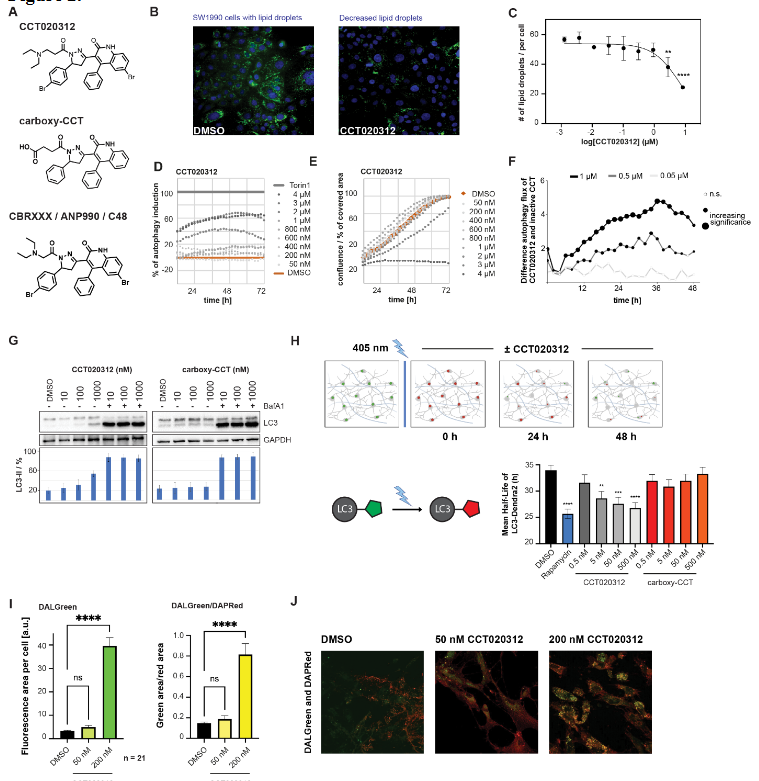 ScienceofPD's tweet photo. New @biorxivpreprint manuscript presents a high content imaging-based screen of 940K small molecules to identify those that accelerate lipid droplet clearance; Highlights EIF2AK3/PERK activator CCT020312 as a mTOR inhibitor-independent autophagy activator
https://t.co/ZZVap9zzA8 https://t.co/JFGLJzCWgN