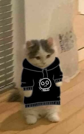 hererapuyuta's tweet photo. They look like rock vibes but they forget they are cute kitten
#YUKITTY
#AiKitten
#YutaKitten
#YUTA #유타 #中本悠太 #ユウタ #悠太 https://t.co/kI6zgAc2oZ