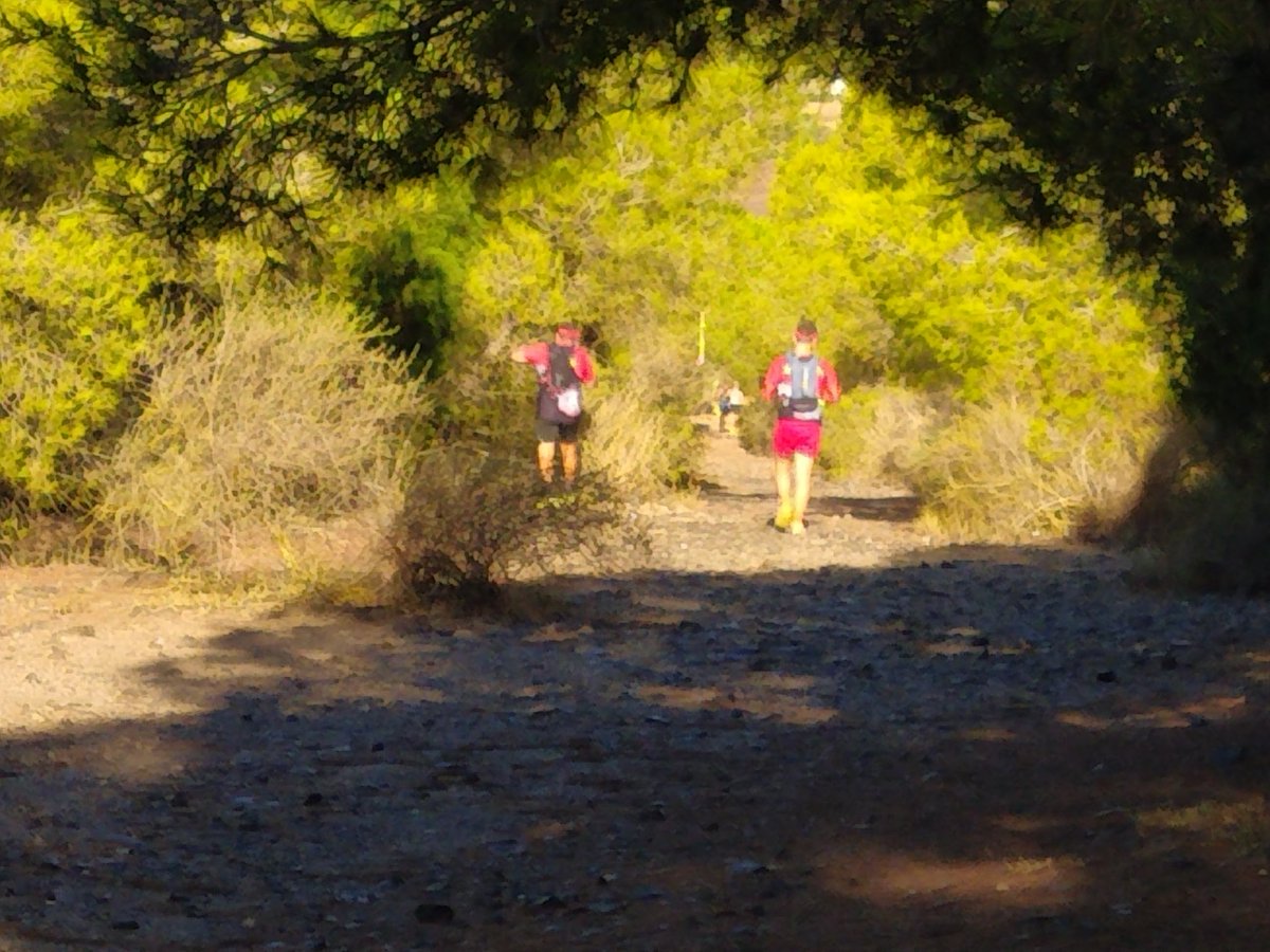 P. C.  La Unión tweet media