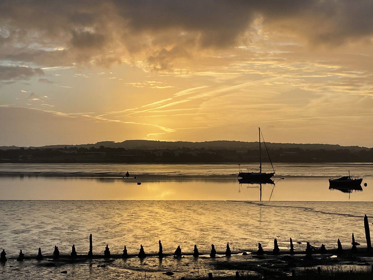 More on Exminster Marshes this morning. <a href="/TurfLocksPub/">TurfLocksPub</a> <a href="/RSPBExeEstuary/">RSPB Exe Estuary & Darts Farm</a> @Exeestuary <a href="/ExeterCanal/">FESC</a> @Exeter_Hour <a href="/Natures_Voice/">RSPB</a> <a href="/wildlife_devon/">Wildlife In Devon</a> <a href="/kwife/">Em</a>