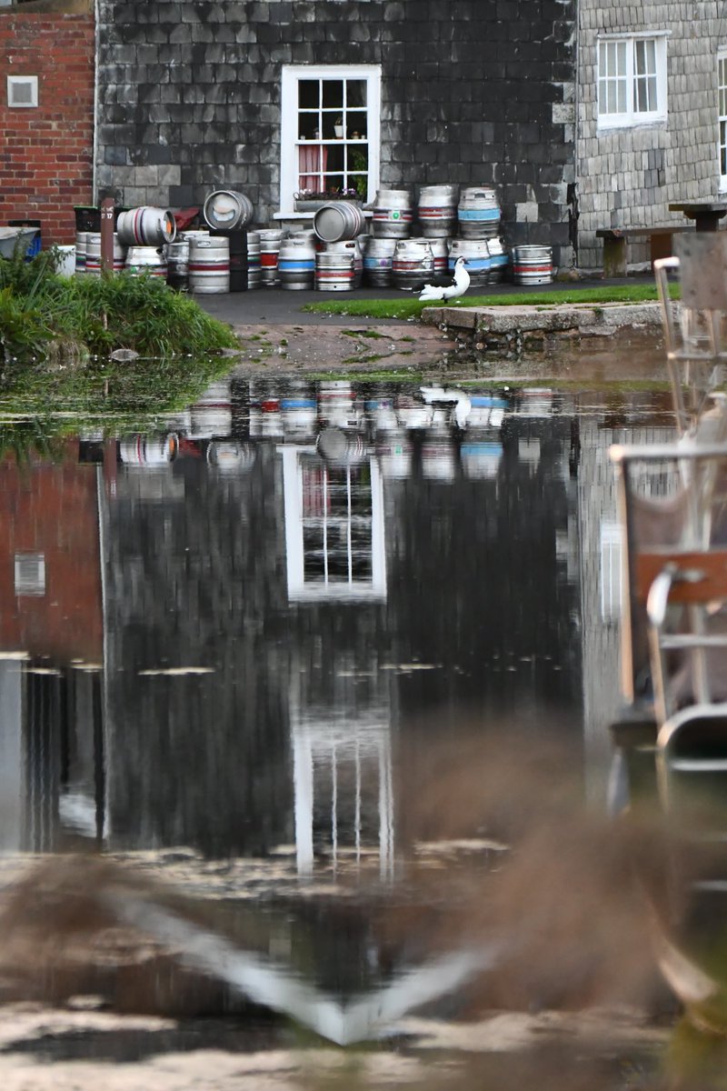 Tim Ridgeway tweet media