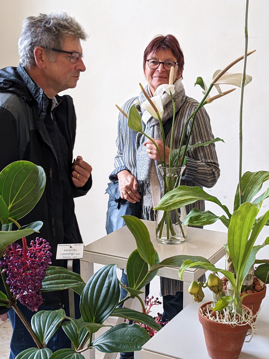 BiotopiaLab's tweet photo. The Biotopia Festival SENSE is in full swing! ✅
Come by today and enjoy our fascinating program!

Entry is free!

#BiotopiaSinne #BiotopiaFestival https://t.co/apM3mIuI0a