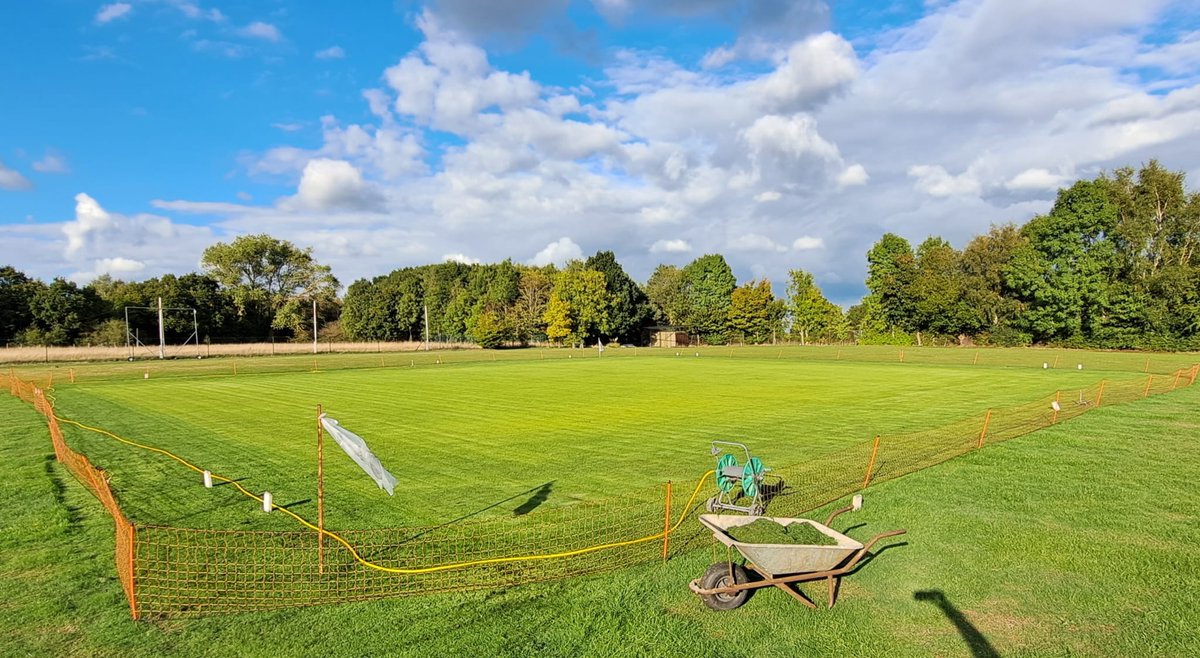 4 weeks on and looking good