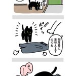 脱ぎ捨てた衣服を見た愛猫が･･･!愛猫の可愛すぎる行動を描いた猫漫画!