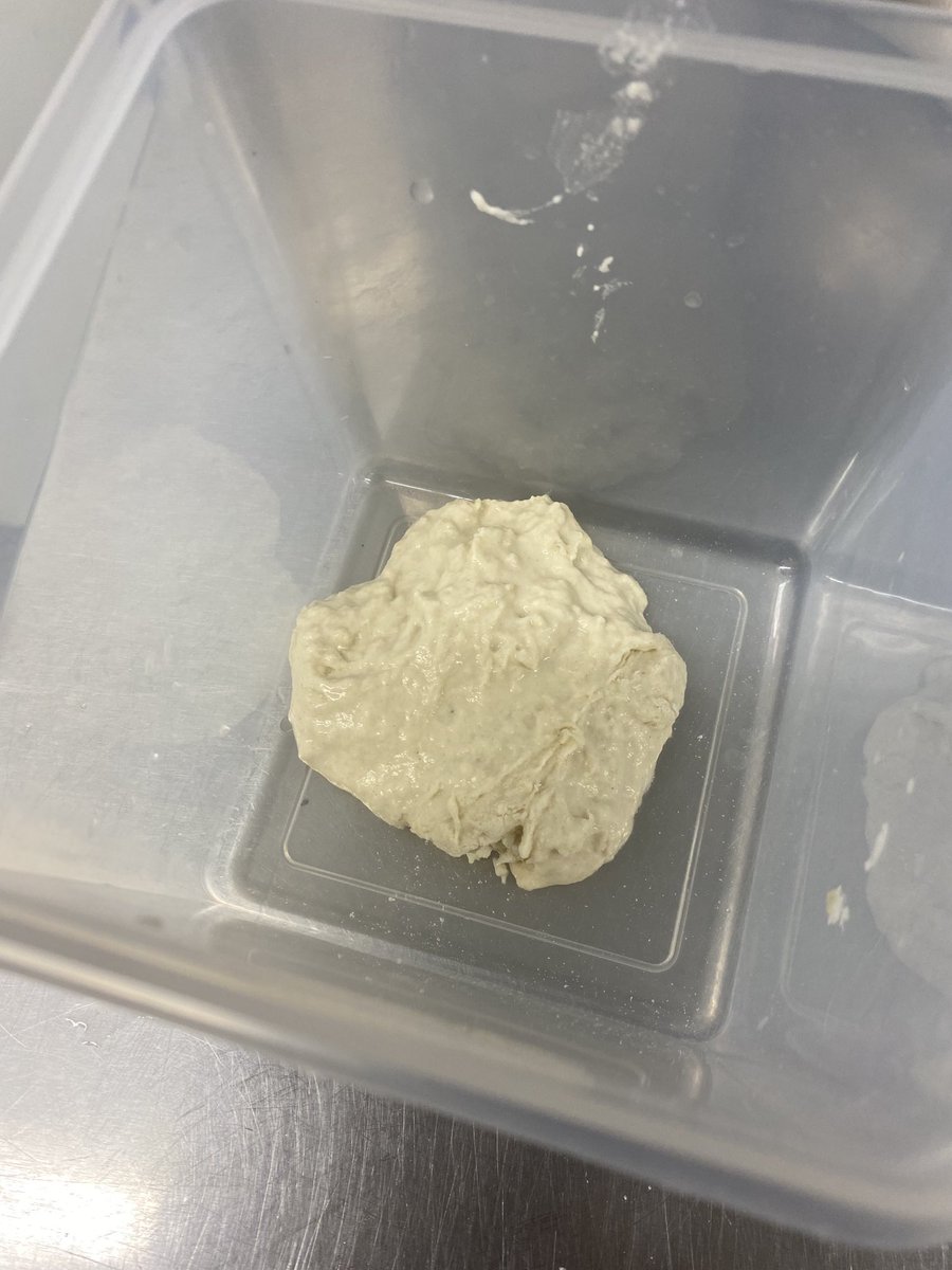 chef_ives's tweet photo. Born 1st Oct, our new sour dough starter, doesn’t look much yet, but it will grow up big and strong ⁦@ThomasFranks⁩ ⁦@HolyportCollege⁩ https://t.co/0jpSTVzD1E