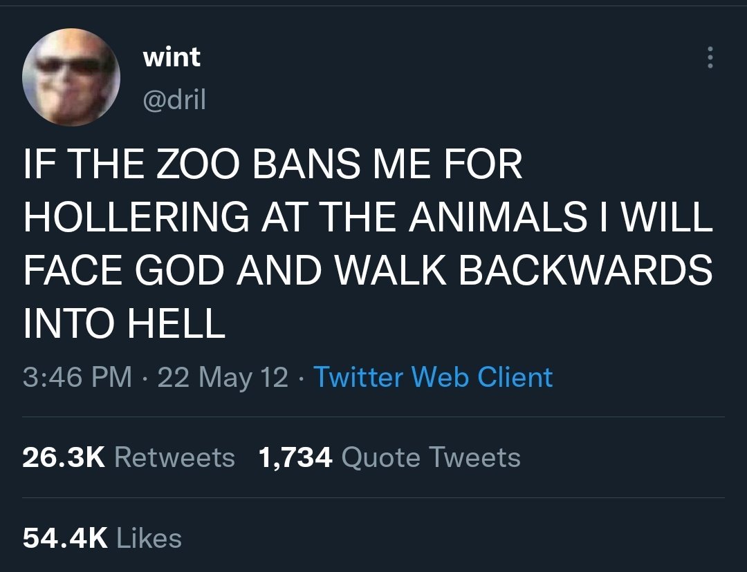 ellewasamistake's tweet image. thinking about how some of the rawest things ever said originated from shitposts