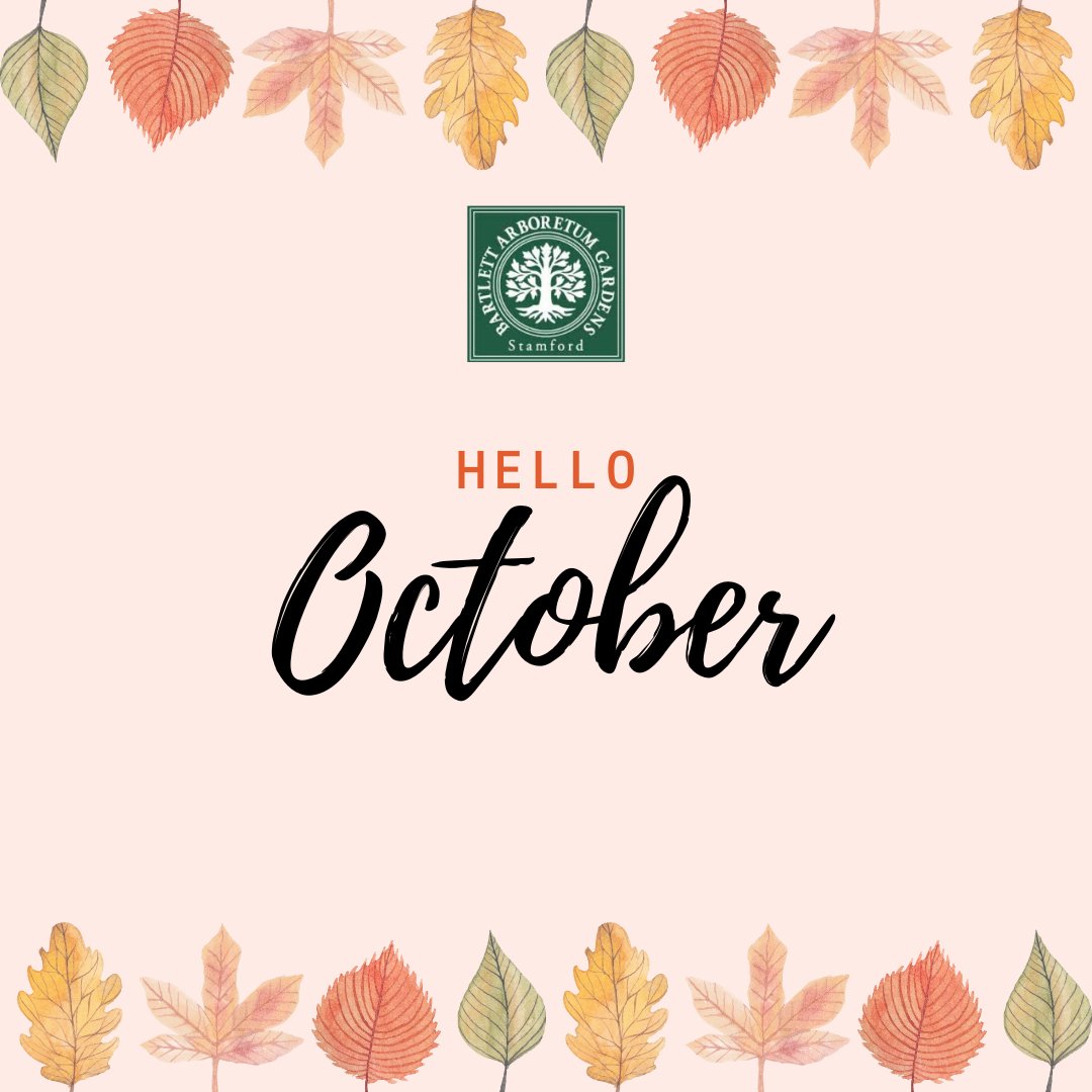 🍁 “I'm so glad I live in a world where there are Octobers.”
― L. M. Montgomery

#bartlettarboretumandgardens #stamford #october #happyoctober #stamfordct #happyfall
