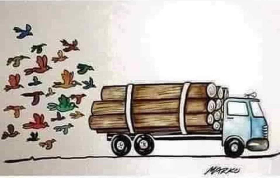 UsamaQureshy's tweet photo. تم پرندوں کا دکھ نہیں سمجھے
پیڑ پر گھونسلے نہیں گھر تھے
#DontCutTrees #PlantATree https://t.co/Cziz59iZm0