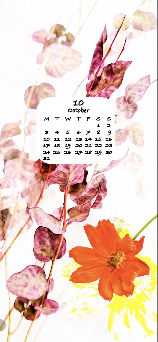 花 花言葉 花色を発信するsooa Sooahanairo Twitter