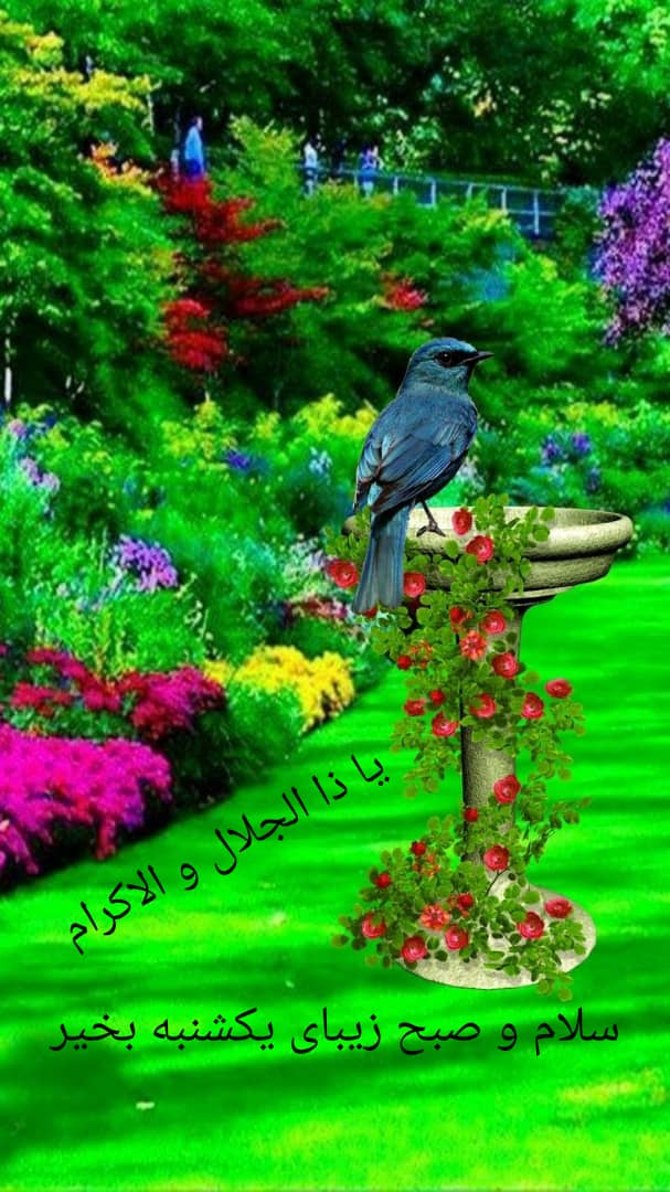 Hellow everyone
Happy weekend