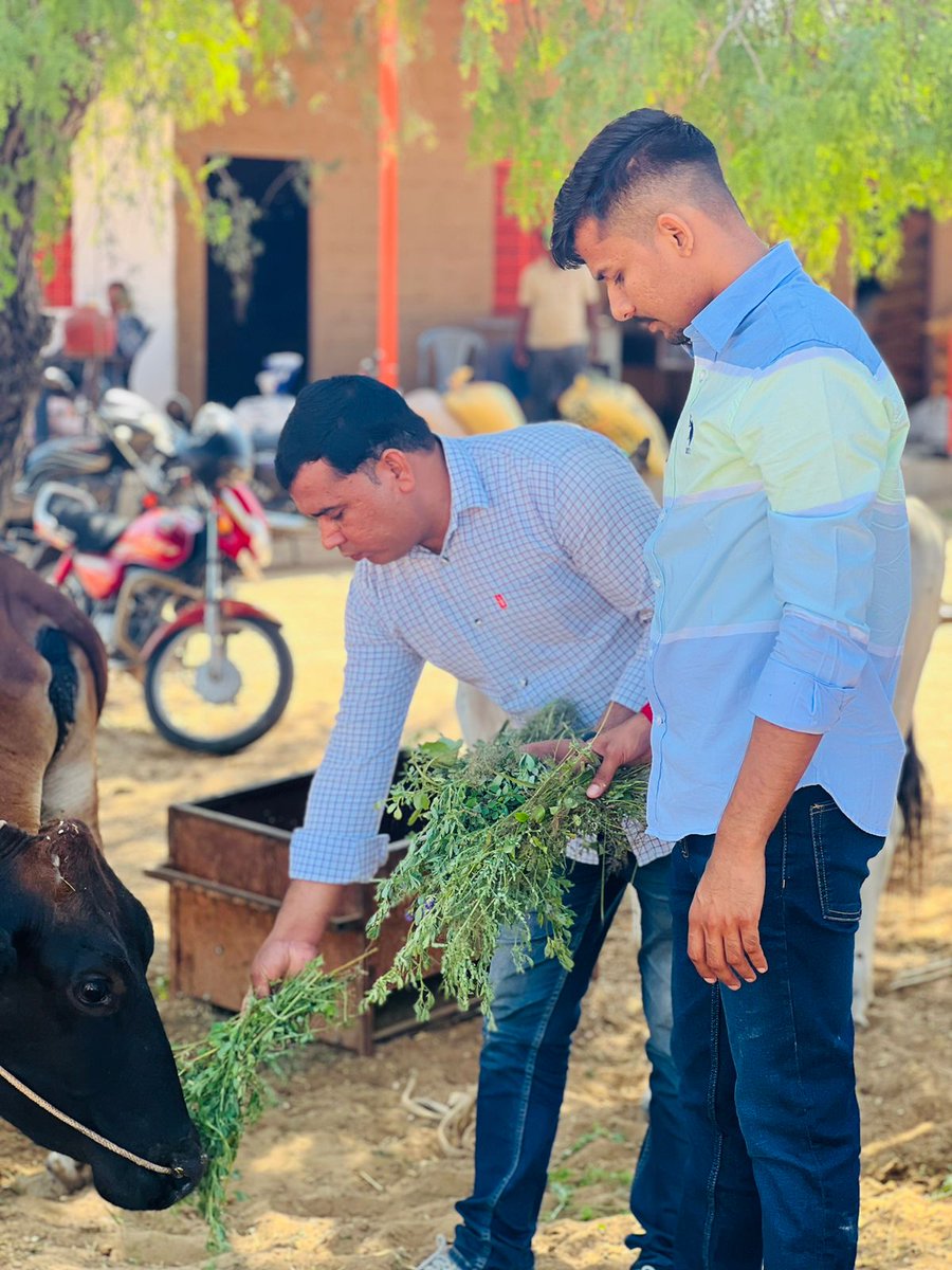 RamBudaniya's tweet photo. राजस्थान प्रदेश कांग्रेस कमेटी के अध्यक्ष @GovindDotasra का आज जन्मदिन कांग्रेस एवं एनएसयूआई के कार्यकर्ताओं के साथ मिलकर जनसेवा एवं सामाजिक कार्य के रूप में मना रहे हैं
@akki_nsui @TansukhOla @AbhilashDotasra https://t.co/pOrL09BCa7