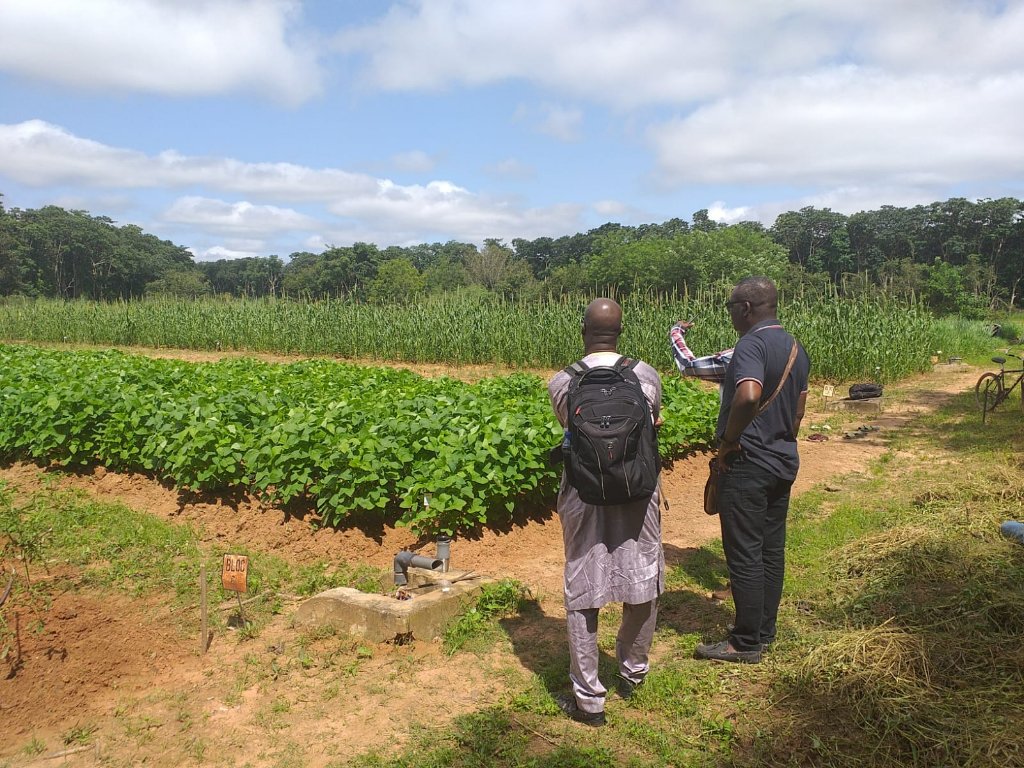 dp_asap's tweet photo. Audit of our @Inter_dPs @dp_asap partnership, Day 6! 
Nice field visit in @DrreaO agronomic station in Farakoba 🌱🌿Always a pleasure to walk around those trials under the nice shade of trees! #soybeans #panicum https://t.co/l2O7aHyw2T