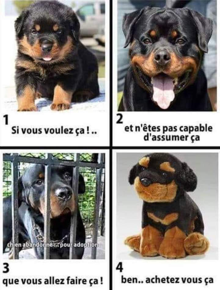 AdeaClaude's tweet photo. https://t.co/YsntURHUSj