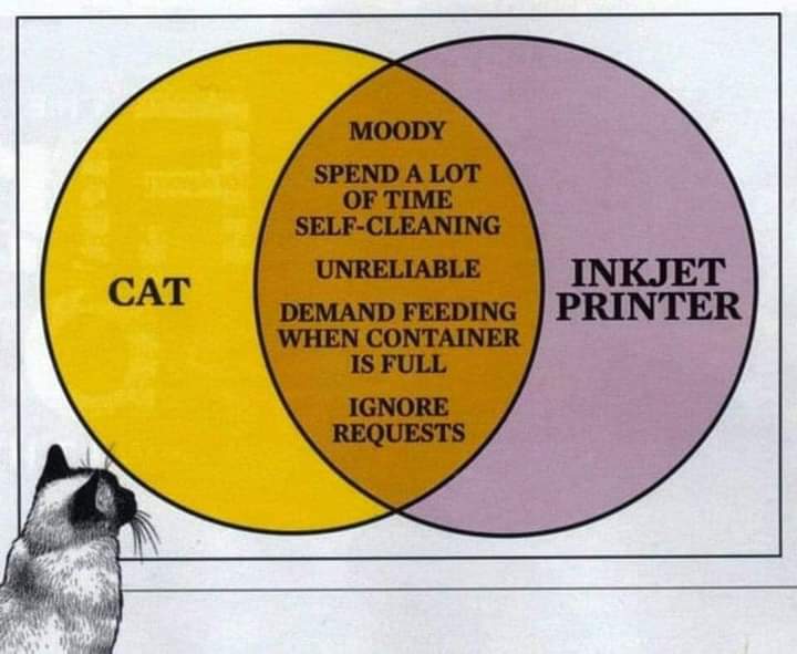 JaakkoH73's tweet photo. Pitäisikö huolestua, kun tuntuu siltä, että nykyinen mustesuihkutulostimeni on ensimmäinen tulostin, joka ei ole saatanan riivaama. #technology #print #Caturday #seitan https://t.co/kBM5tOae1j