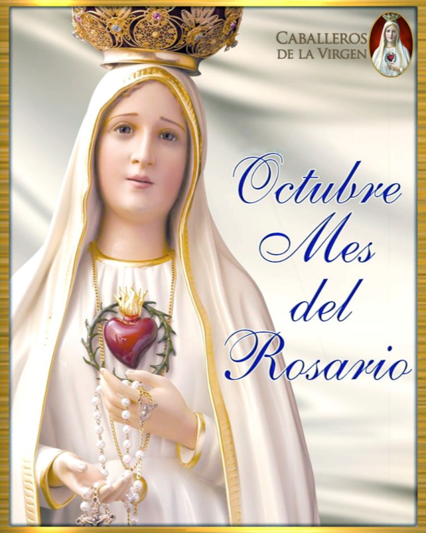 Caballeros de la Virgen tweet media