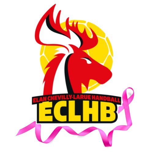 🤾🏻‍♂️ELAN CHEVILLY-LARUE HB🤾‍♀️ tweet media