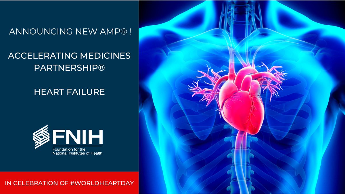 Foundation for the National Institutes of Health (@fnih_org) on Twitter photo To celebrate #WorldHeartDay, the Foundation for the National Institutes of Health <a href="/FNIH_Org/">Foundation for the National Institutes of Health</a> announces a new collaborative partnership to deconstruct the syndrome of heart failure with preserved ejection fraction (HFpEF). Learn more: fnih.org/news/press-rel… To celebrate #WorldHeartDay, the Foundation for the National Institutes of Health <a href="/FNIH_Org/">Foundation for the National Institutes of Health</a> announces a new collaborative partnership to deconstruct the syndrome of heart failure with preserved ejection fraction (HFpEF). Learn more: fnih.org/news/press-rel…