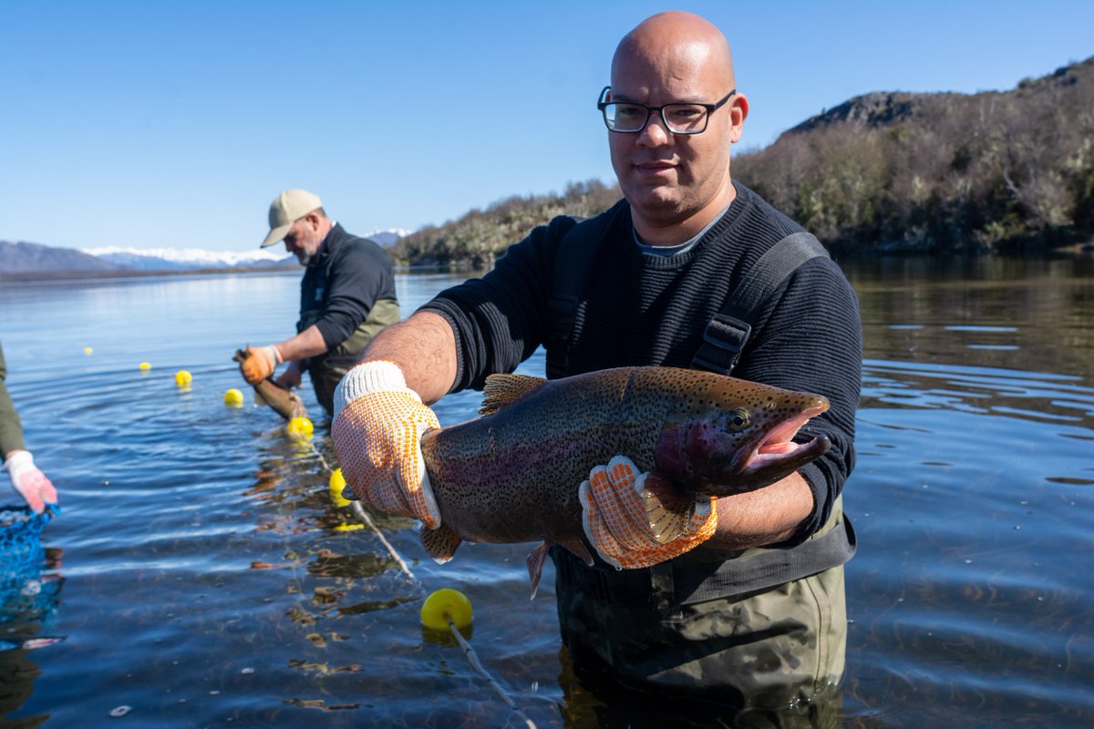 SecPescaCht's tweet photo. #PescaContinental
Continuamos con las campañas de desove de #TruchaArcoIris, un trabajo que contribuye al #Repoblamiento de diferentes espejos de agua de #Chubut, lo que a su vez favorece el circuito económico provincial que se activa en torno a la #PescaDeportiva https://t.co/RG2NnH1LdM