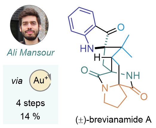 Gagosz Lab (@thegagoszlab) on Twitter photo Out in Org. Lett <a href="/JOC_OL/">J Org Chem/Org Lett</a> !
Congratulations to Ali ! A short and efficient #gold catalyzed synthesis of (±)-brevianamide A. pubs.acs.org/doi/abs/10.102… Out in Org. Lett <a href="/JOC_OL/">J Org Chem/Org Lett</a> !
Congratulations to Ali ! A short and efficient #gold catalyzed synthesis of (±)-brevianamide A. pubs.acs.org/doi/abs/10.102…