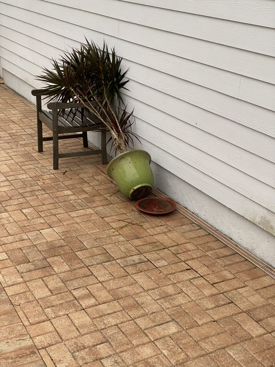 Hurricane Ian damage here near east coast of central Florida. If you’ve been watching the news, it’s not all bad.