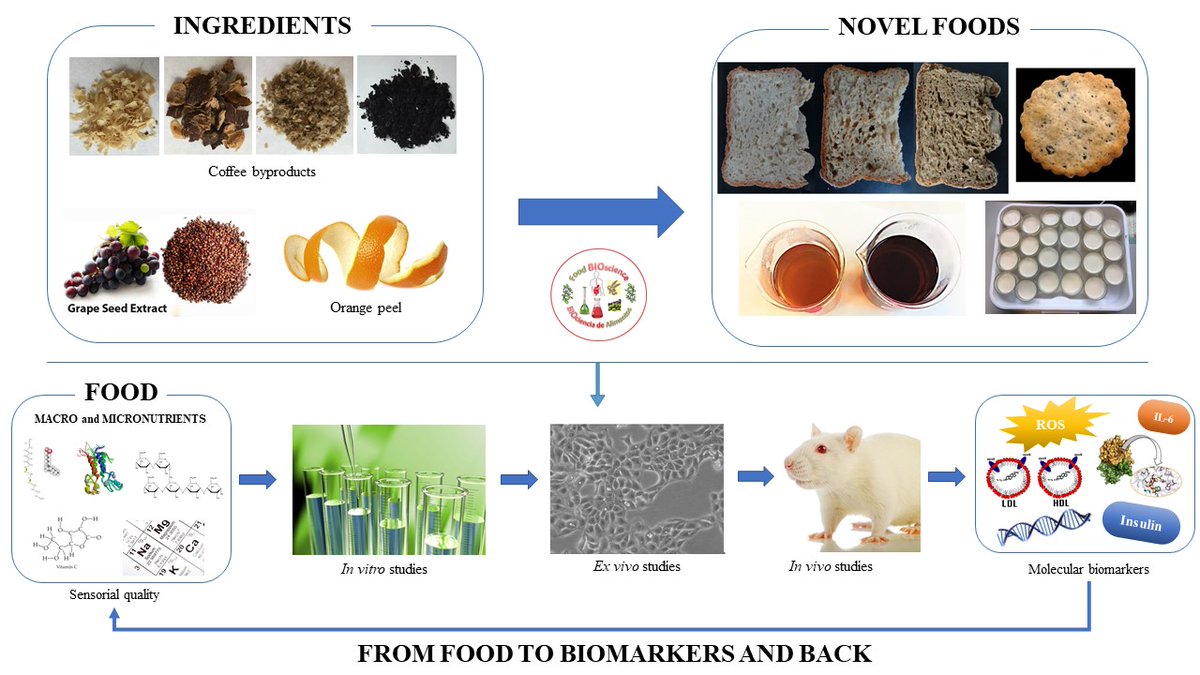 BioscienceCial's tweet photo. 🗓️Hoy es el Día Internacional de Concienciación sobre la Pérdida y el Desperdicio de Alimentos 🍎☕️. En @BioscienceCial del @CIAL_CSIC_UAM trabajamos para dar valor a los subproductos de la industria alimentaria y convertirlos en nuevos ingredientes saludables y sostenibles 👩🏻‍🔬👩🏻‍🔬 https://t.co/kurYPLNPj8