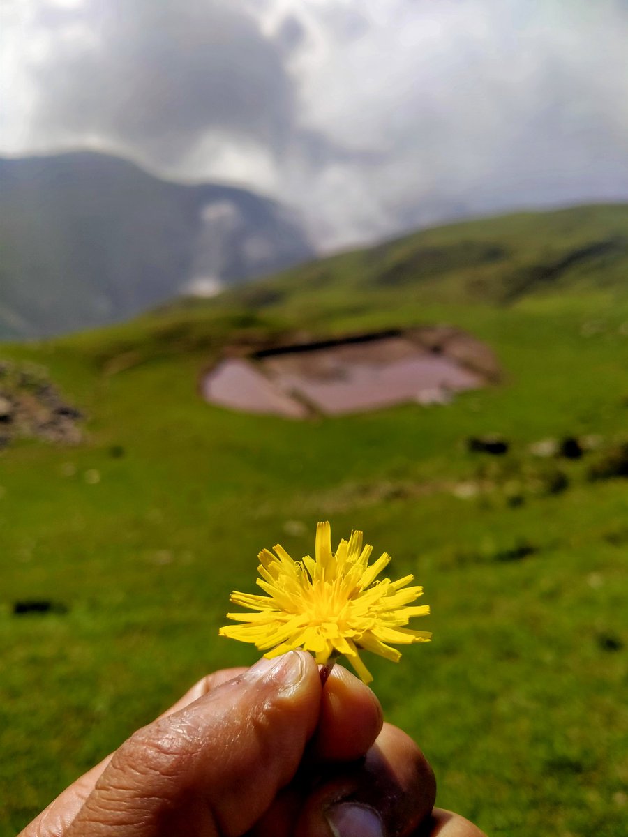 VinodVision's tweet photo. 🌷💛🌲💚

Full details Video - https://t.co/YsPNZi8fgR

#nature #NaturePhotography #NatureBeauty #Mountain #Himachal #HimachalPradesh https://t.co/hgodVhHA58