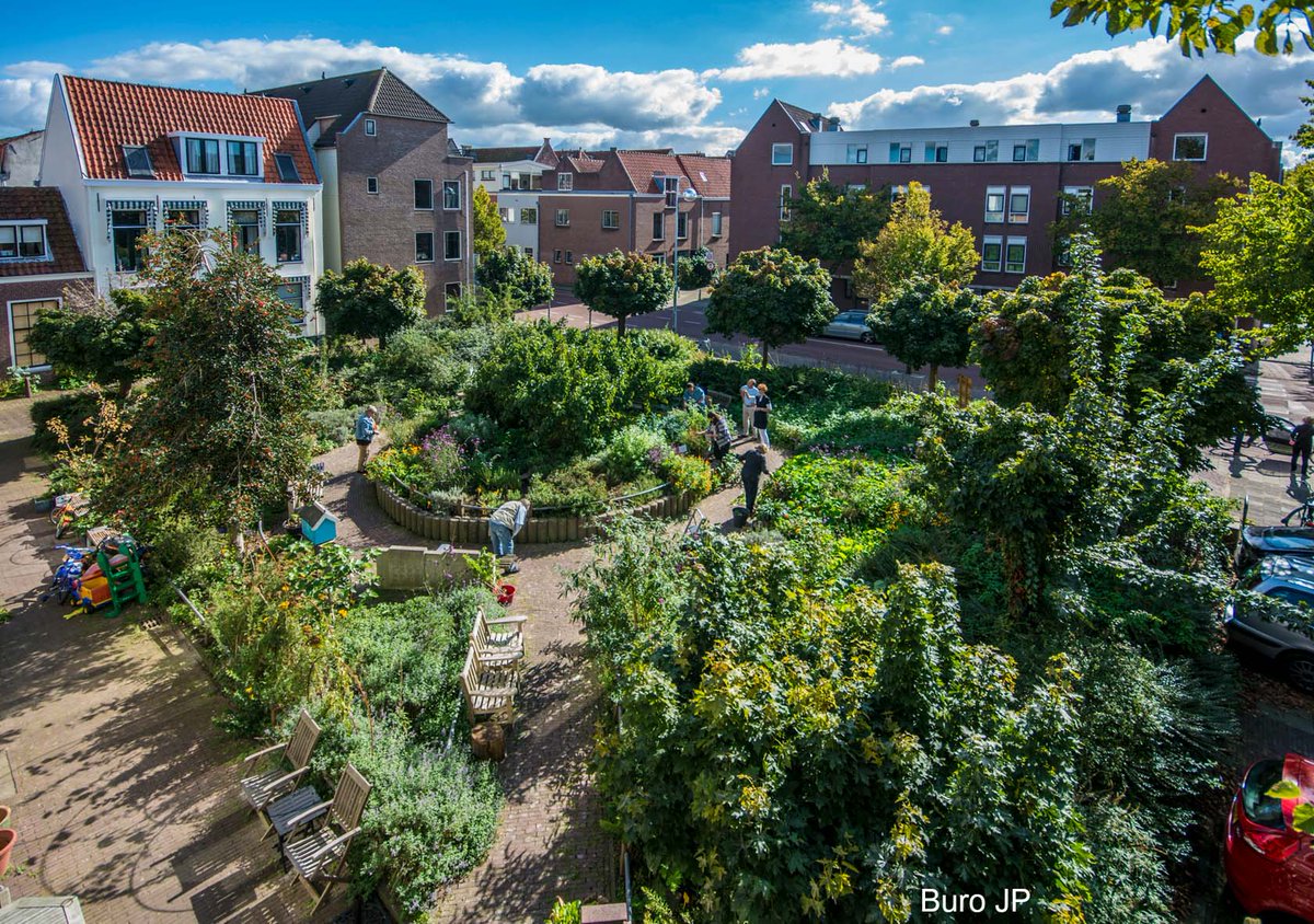 Buurten en wijken vergroenen levert veel op🌱: gezondere bewoners, minder hittestress en meer biodiversiteit. Medewerkers van #gemeenten en #woningcorporaties deelden tips en inspirerende #praktijkvoorbeelden met elkaar tijdens dit symposium op 27-9 👉 bit.ly/3DYeD1w