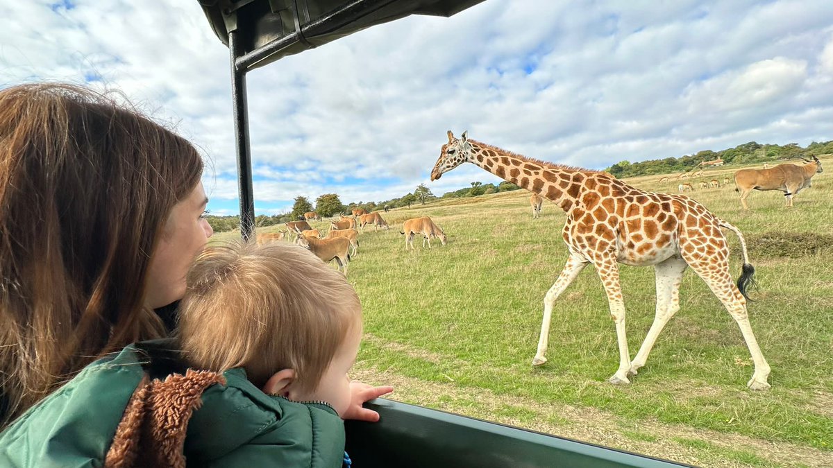 nina_fsmith's tweet photo. Absolutely amazing few days away with my boys at @portlympnepark Wonderful location, beautiful animals and attentive staff. We’ll be back! #minibreak #staycation #safari https://t.co/mcqbbPydAB