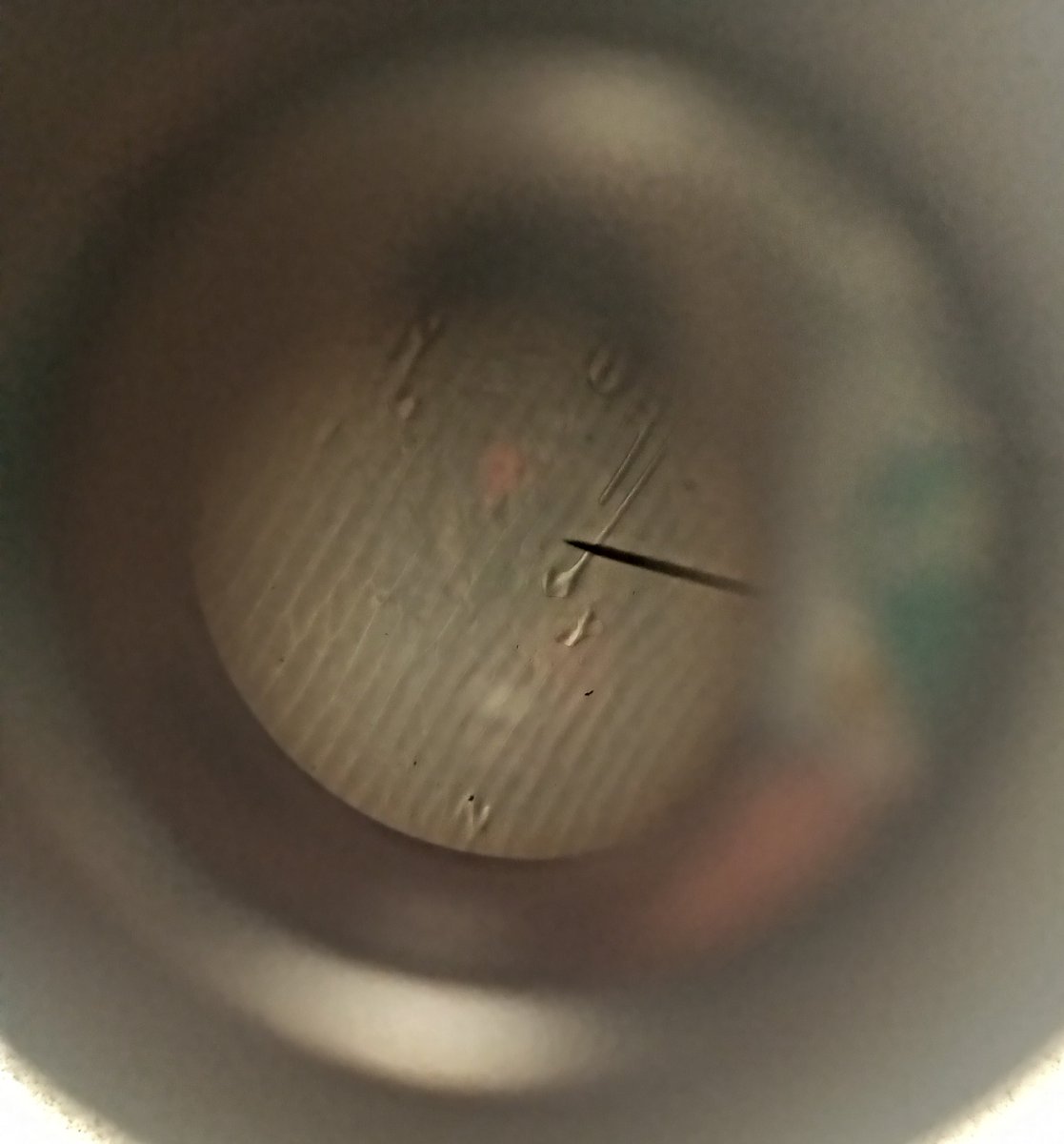 science_utc's tweet photo. Year 9 continued on their learning journey today by making onion cell slides and then doing biological drawings of them! #learningjourneys #youngscientists @ScarboroughUTC https://t.co/L94fSdMJbJ