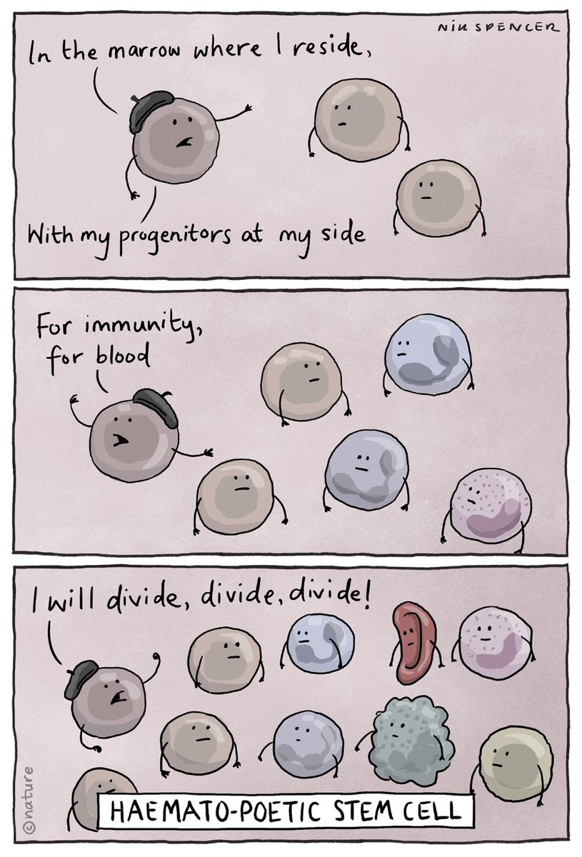 rapidnovor's tweet photo. How about a little science poem to go along with the science pun this morning? #QuirksOfNature #scihumour #sciart #stemcell
(Source: @Nature) https://t.co/EAjgOhZES4
