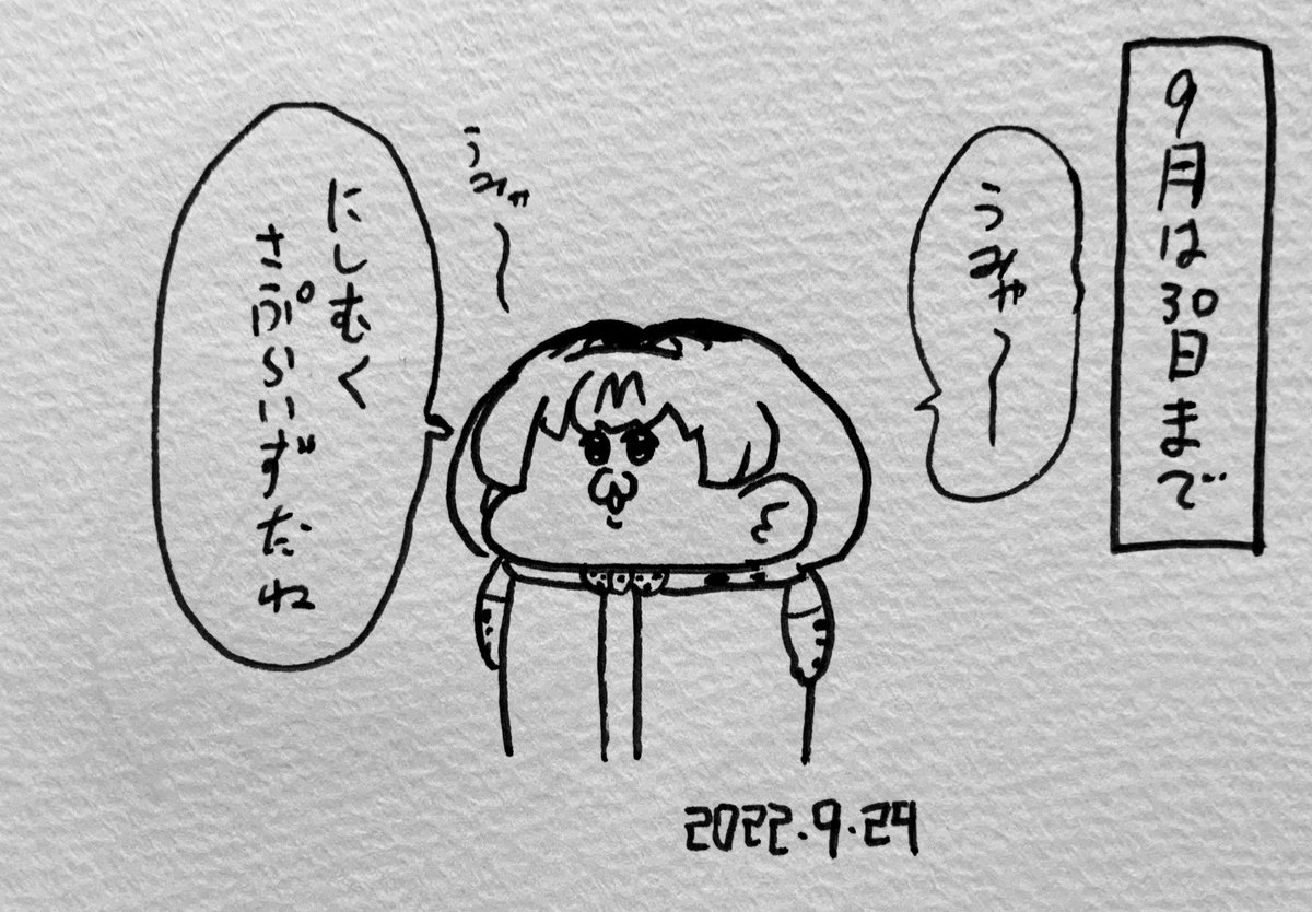 「にしむくさむらい」を「にしむくサプライズ」と言い間違えているサーバルちゃん 