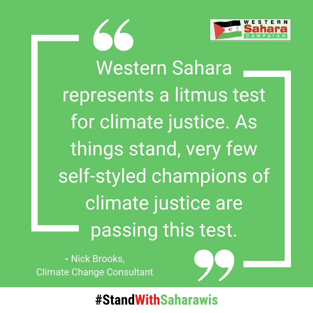 WS Campaign UK tweet media