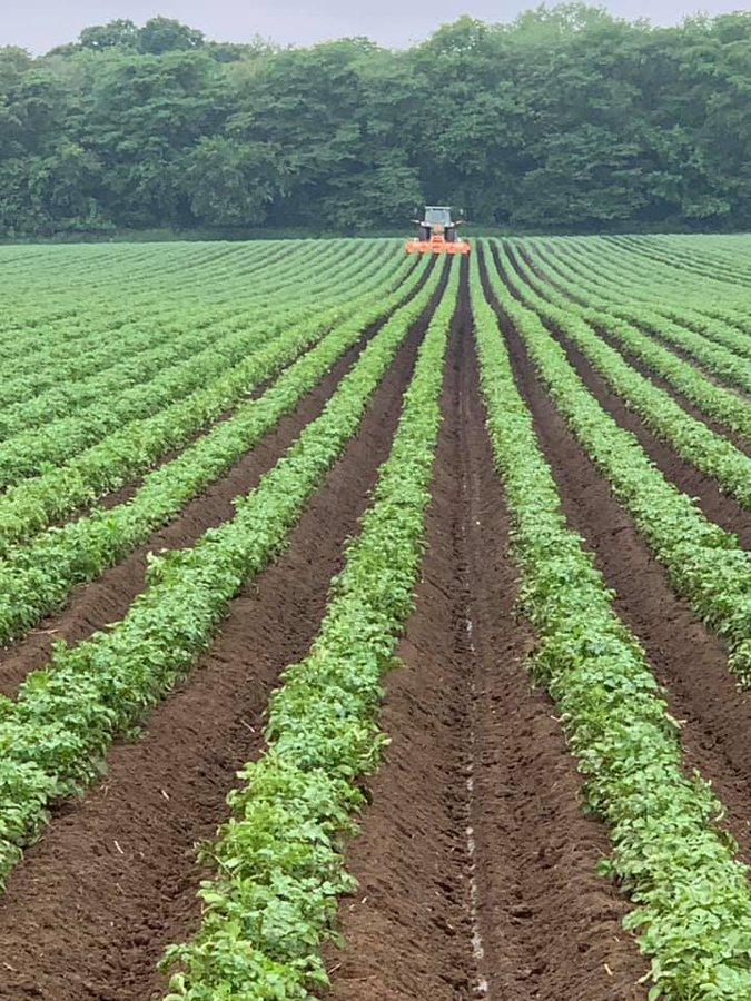 If you are interested in agriculture, please like and retweet.