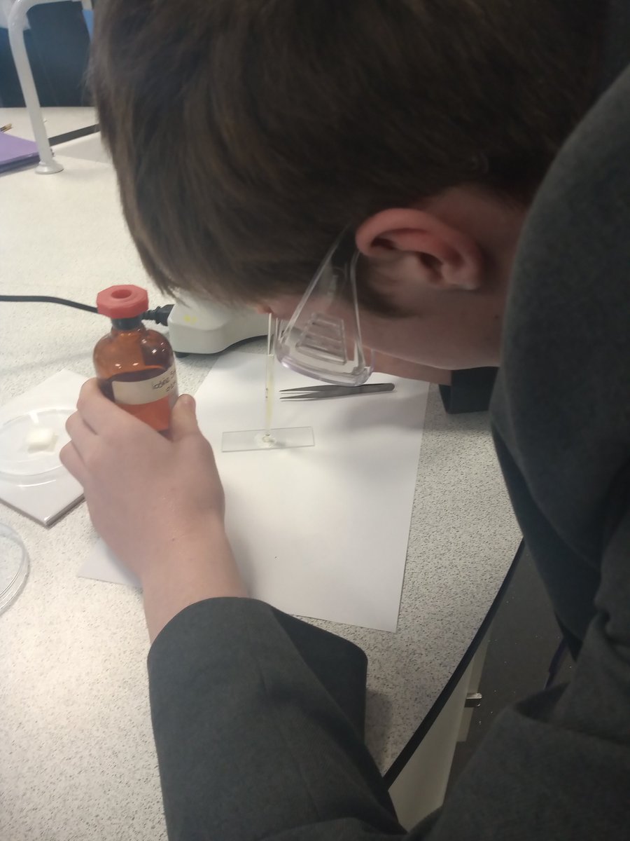 science_utc's tweet photo. Year 9 continued on their learning journey today by making onion cell slides and then doing biological drawings of them! #learningjourneys #youngscientists @ScarboroughUTC https://t.co/L94fSdMJbJ