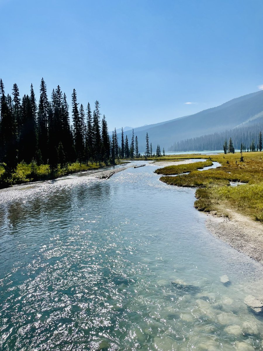 MissTravel91's tweet photo. Lake Emerald 🇨🇦🇨🇦🇨🇦 #canada #visitcanada #travel https://t.co/c6dmMnZCQ2