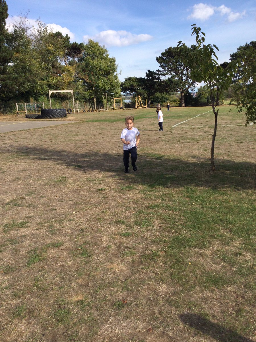 Shotley Zebras tweet media