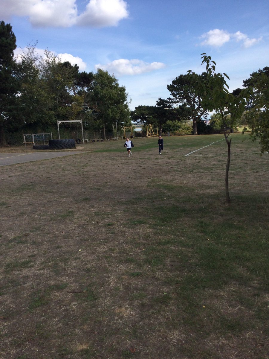 Shotley Zebras tweet media