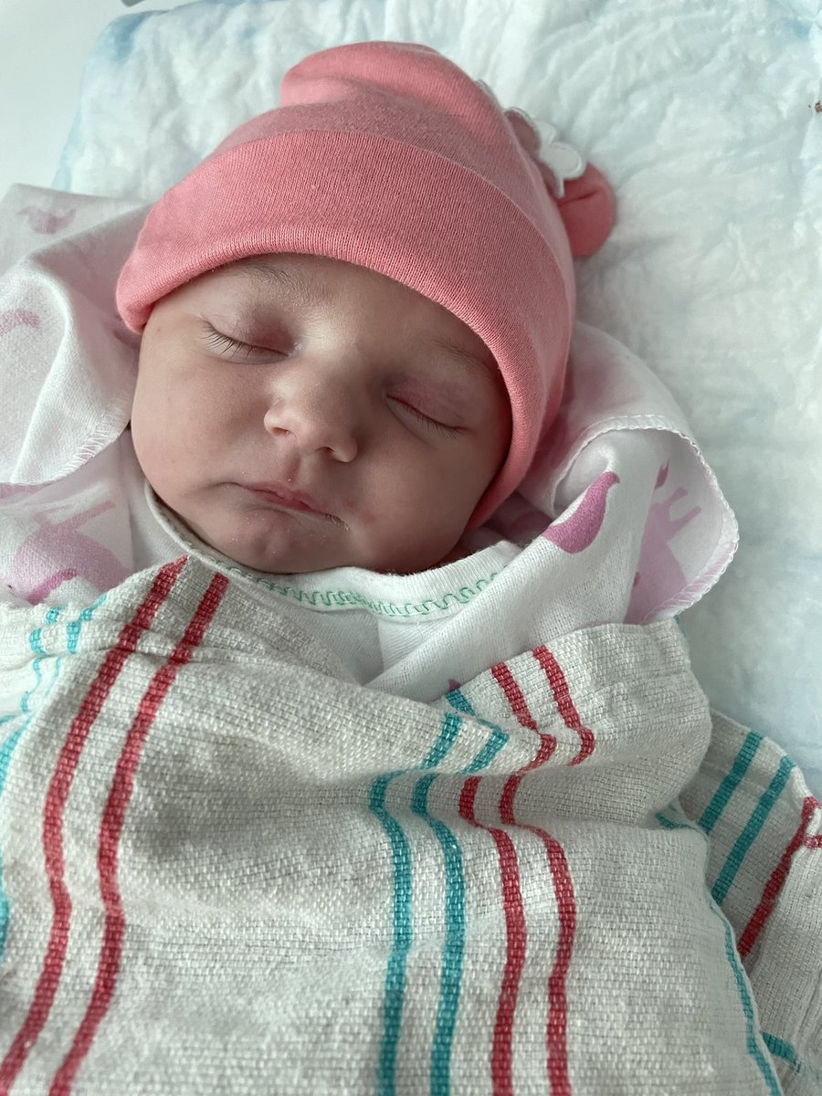 Sara Cornett (@mrssaracornett) on Twitter photo Adria Raquel Cornett became a tiny Kirk Tiger September 28th weighing in at 8 lbs 6 oz. Love you baby girl! #kirkcan <a href="/KirkElementary/">Kirk Elementary</a> Adria Raquel Cornett became a tiny Kirk Tiger September 28th weighing in at 8 lbs 6 oz. Love you baby girl! #kirkcan <a href="/KirkElementary/">Kirk Elementary</a>