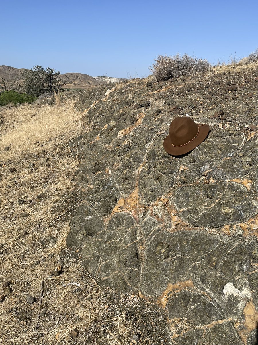 Lee Saper on Twitter "Found some killer picritic pillow lavas today in the Troodos 🤩"