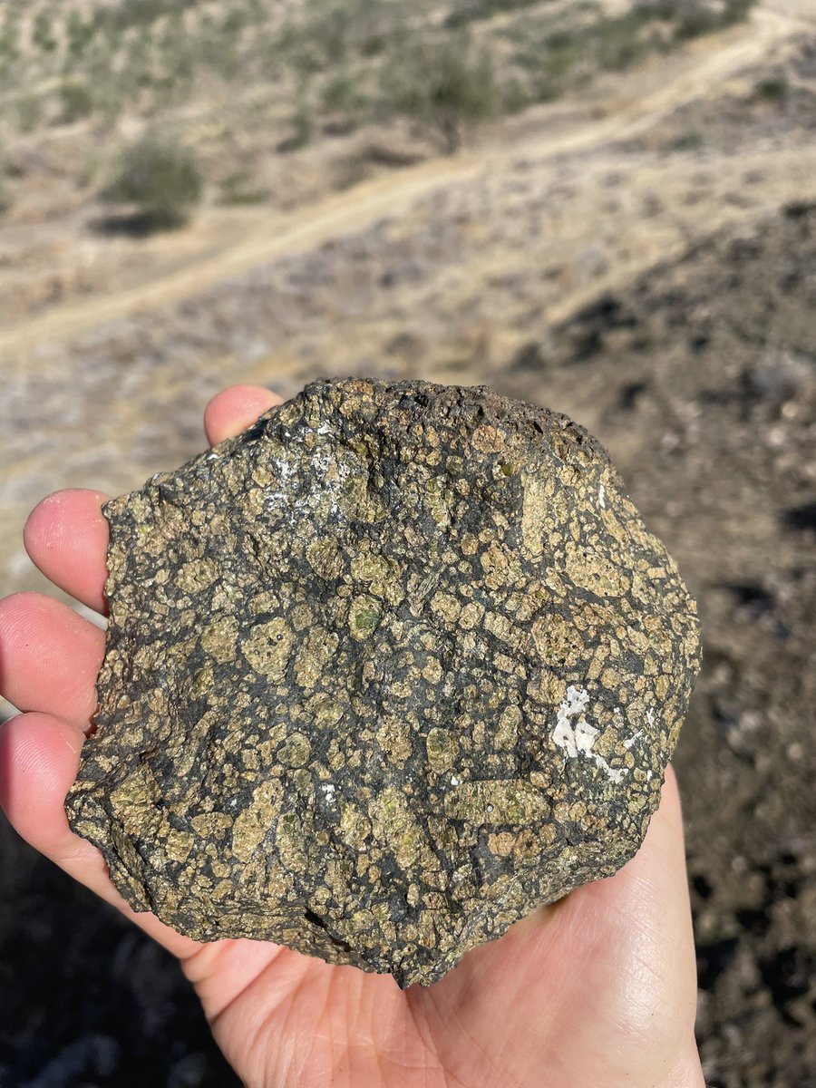 Lee Saper on Twitter "Found some killer picritic pillow lavas today in the Troodos 🤩"