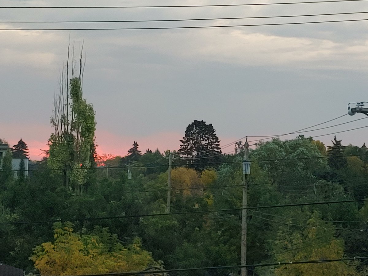 ElectedSolution's tweet photo. #sunrise in the urban forest https://t.co/OXMv6OrQm4