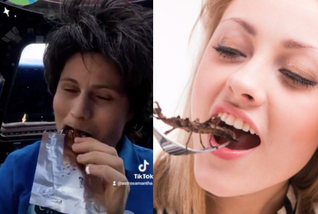 Il video di <a href="/AstroSamantha/">Samantha Cristoforetti</a> in cui mangia insetti tisca.li/AstroSamMangia… scatena reazioni e polemiche. Davvero non siamo pronti? O non vogliamo essere pronti? <a href="/FAO/">Food and Agriculture Organization</a> #foodculture #insects #Eating #foodie #food #Cultura #future #29settembre