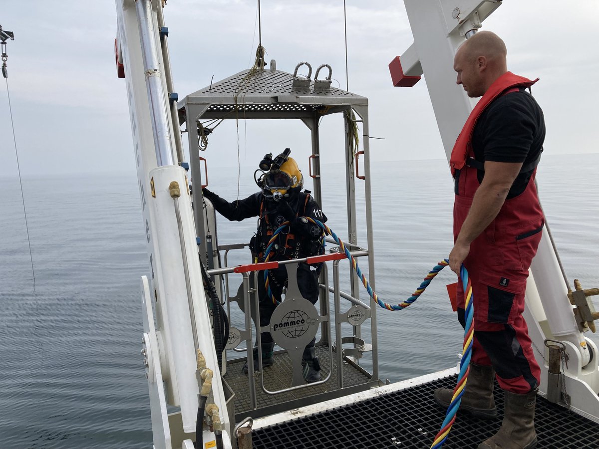 TridentArch's tweet photo. We are diving off the coast of Denmark. Our mission, to explore the wreckage of a B-24 aircraft. Partnering with the @DoDPAA, we are searching for the remains of MIA US servicemen lost during WWII. Here are a few photos of our progress. https://t.co/ALtlpxbW9y