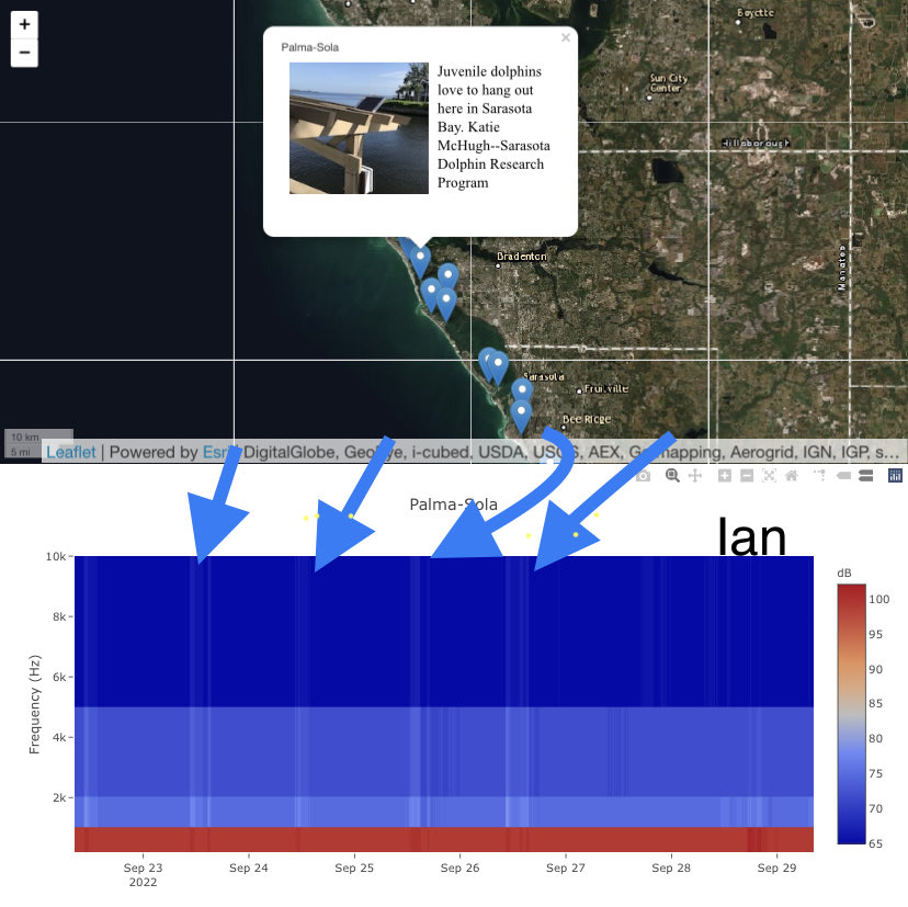 Looks like the fish at Palma Sola took a break the night before Ian landfall from the Sarasota Bay Listening Station. #Ian #SDRP #NewCollege