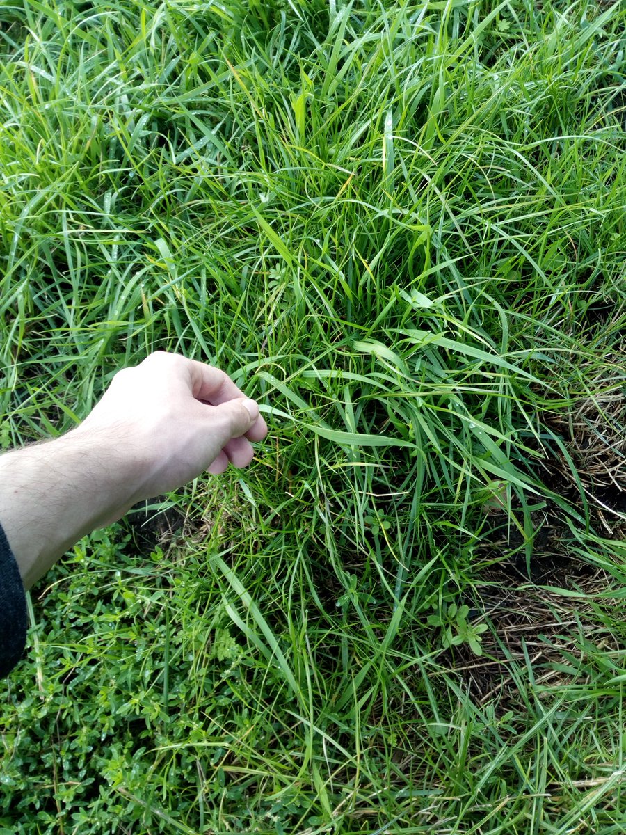 Gamerflo tweet media