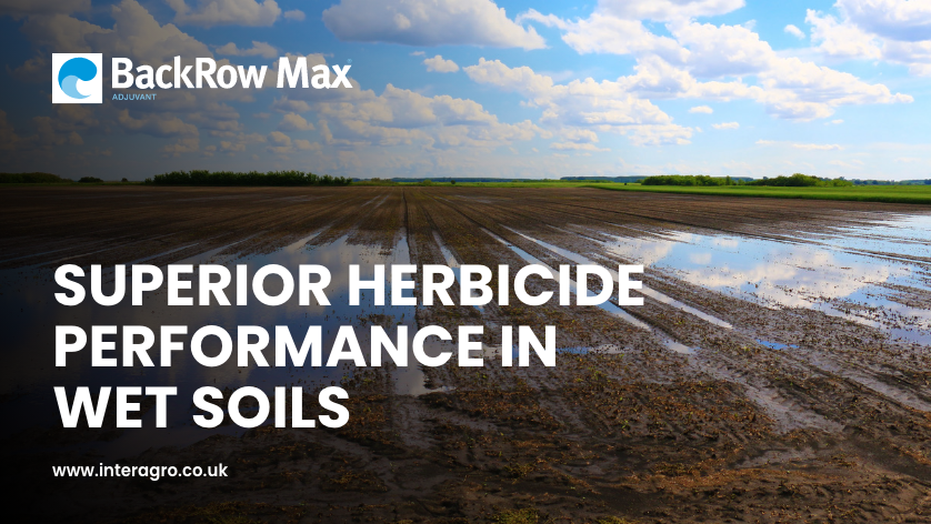 NichinoUK's tweet image. #BackrowMax creates a stronger barrier to emerging weeds 𝌉🌱🌾

Pre-emergence herbicides and their active substances often require additional support from an effective #adjuvant to keep them in the weed germination zone.

Backrow Max 🏆 👉 bit.ly/3dFZJlB