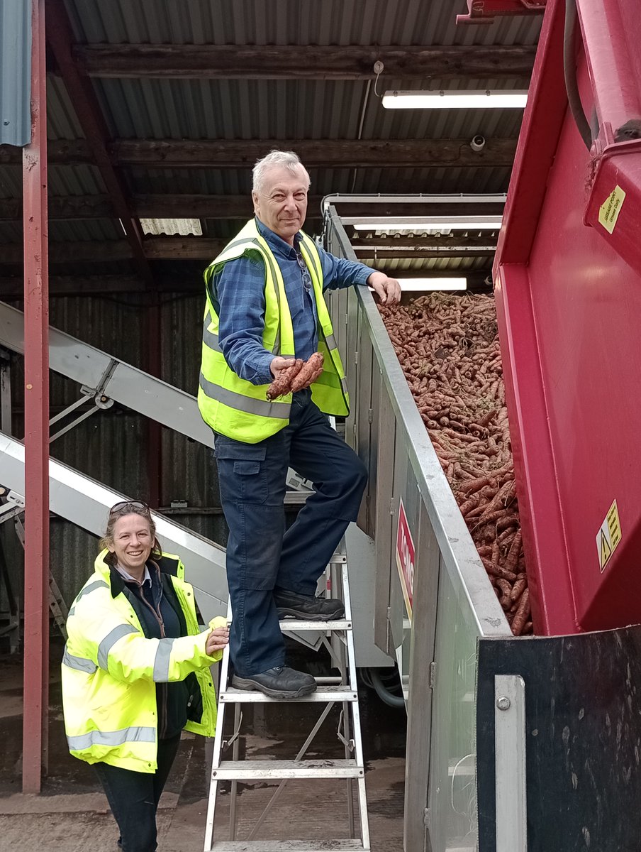 LancsCatering's tweet photo. Merscar House Farm harvesting carrots in Scarisbrick Lancashire #nutritious #vegpower ploughing the fields from farm to plate #freshsolutions @LancsCatering Feeding the Future of Lancashire 🥕 https://t.co/iWasoIBuiO